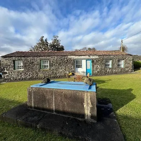 Casa Do Cacto - 1 Bedroom Cosy Flat * Madalena (Azores)